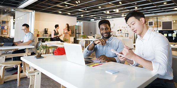 What does payroll software do?